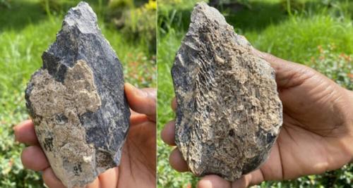 Обнаружен костяной топорик возрастом 1, 4 миллиона лет.
