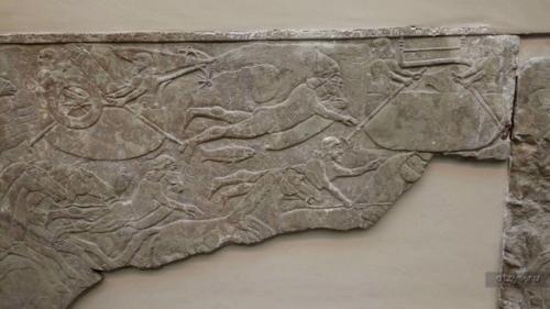 Надувные коровьи шкуры. 03