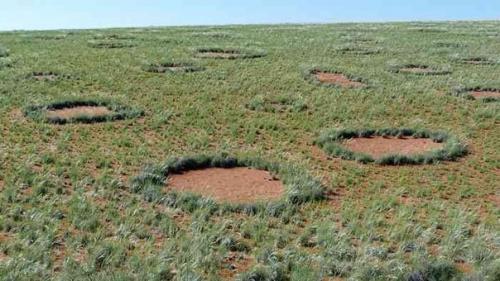 Тайна волшебных кругов в Намибии разгадана? 01 Тайна волшебных кругов в Намибии разгадана? 01