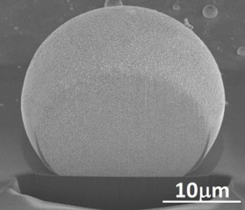Золото впервые в мире вырастили в лаборатории. Золото впервые в мире вырастили в лаборатории.