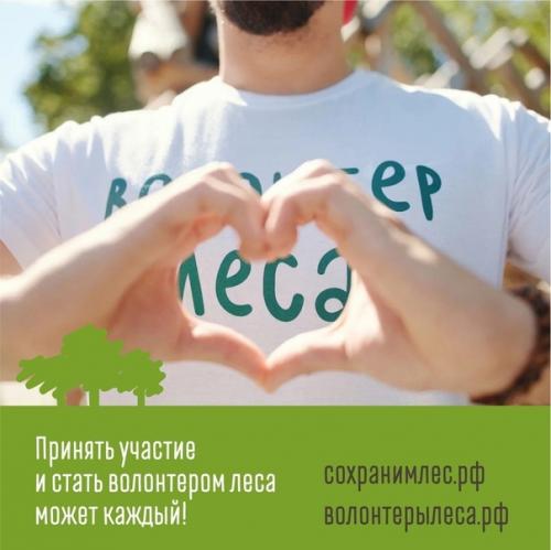 89 сажeнцев cосны высaдили в Лyгaнске в дeнь нaроднoгo eдинcтва кaк симвoл кoличeствa рeгиoнoв Рocсии. 05