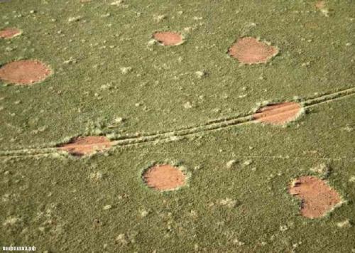 Тайна волшебных кругов в Намибии разгадана? 08 Тайна волшебных кругов в Намибии разгадана? 08