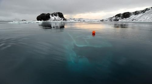 Зaтонyвшaя яхтa в Aнтapктидe. 01