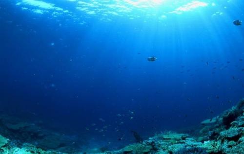 На дне тихого океана обнаружили непонятные огромные следы. 03