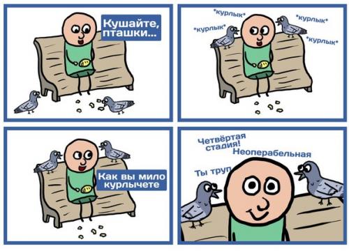 Голуби отличными онкологами оказались. Голуби отличными онкологами оказались.