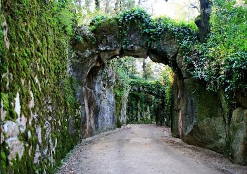 Кинта да регалейра. 03 Кинта да регалейра. 03