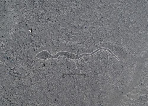 В пустыне Наска открыто 168 новых геоглифов. 01