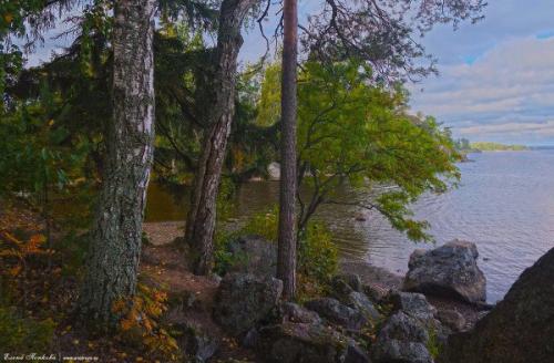 Загадочный Выборг.  Парк монрепо. 05 Загадочный Выборг.  Парк монрепо. 05