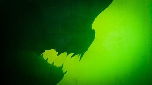 Мёртвая акула в резервуаре осталась! 02 Мёртвая акула в резервуаре осталась! 02