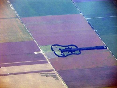 Совершая полёт над отдалёнными районами Аргентины, можно увидеть необычной формы лес в форме гитары. 02