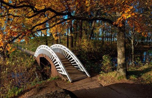 Загадочный Выборг.  Парк монрепо. 01 Загадочный Выборг.  Парк монрепо. 01