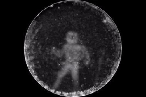 Ученые выяснили, как именно Видят дельфины человека. 01 Ученые выяснили, как именно Видят дельфины человека. 01