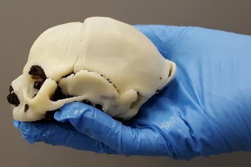 5 инновационных технологий в радиологии. 01