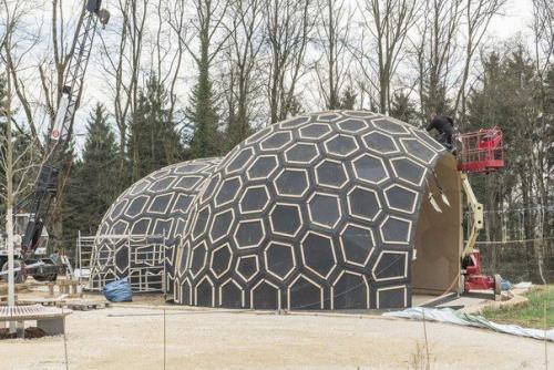 В Штутгарте роботы спроектировали и построили здание из дерева без несущих конструкций. 04