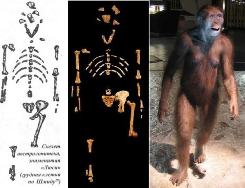 Почему не находят скелетов снежного человека. 03