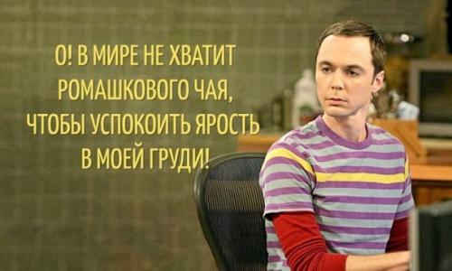 20 цитат Шелдона Купера о том, каково это - быть совершенным.