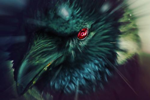 Воронья смекалка. В? Воронья смекалка. В?