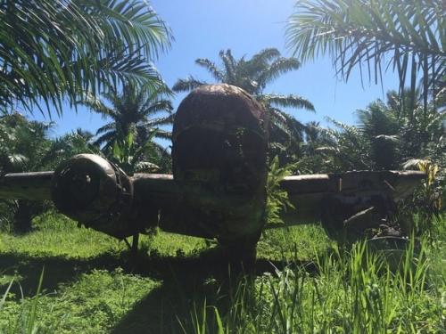 Взлетно-посадочная полоса таласеа. 01