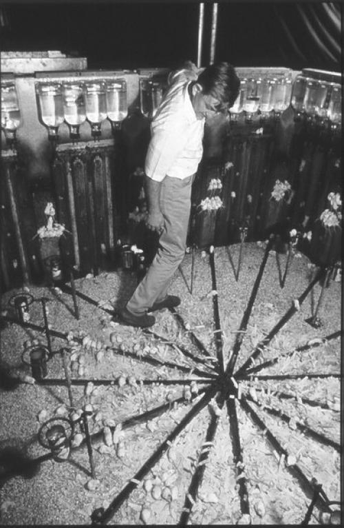 Учёный попытался создать рай на земле. Учёный попытался создать рай на земле.