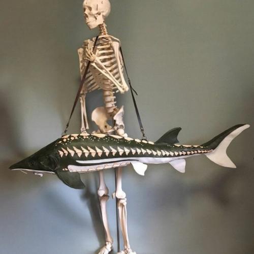 Японский художник различные аксессуары в виде жутких гигантских существ создаёт. 02