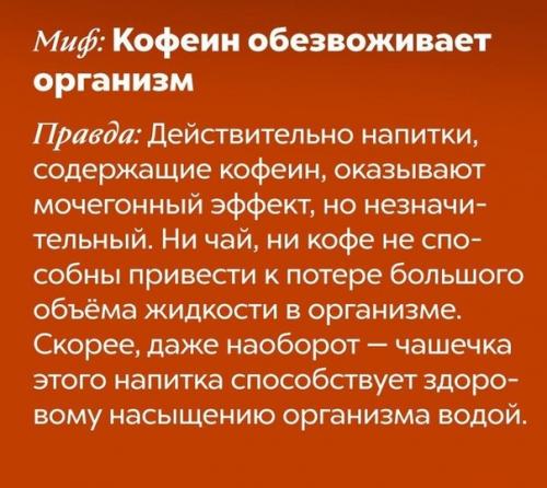 Давайте смотреть правде в глаза: все любят кофе. 07