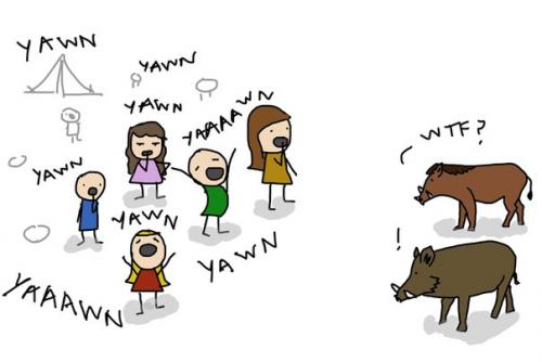 Случается, что вы зеваете без всякой причины, просто потому что рядом зевнул кто-то другой.