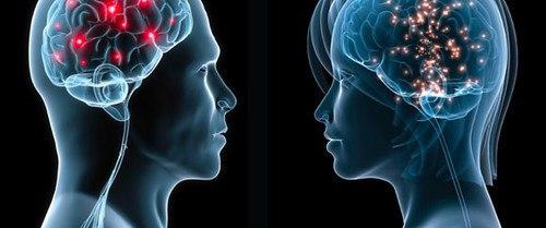 Основные проблемы психологии или что влияет на поведение человека: социальные или биологические факторы?