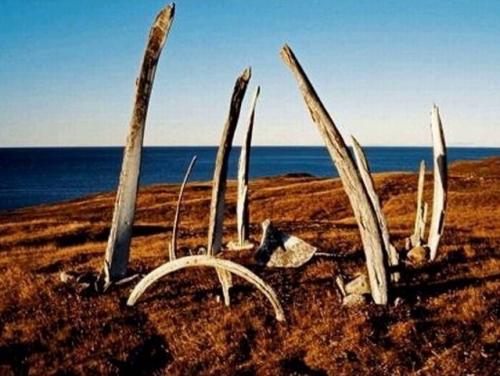 Китовая аллея, Чукотка. 02 Китовая аллея, Чукотка. 02