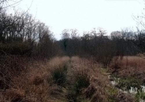 Ученые разгадывают тайны древней дороги, которая помогла строить египетские пирамиды. 05 Ученые разгадывают тайны древней дороги, которая помогла строить египетские пирамиды. 05