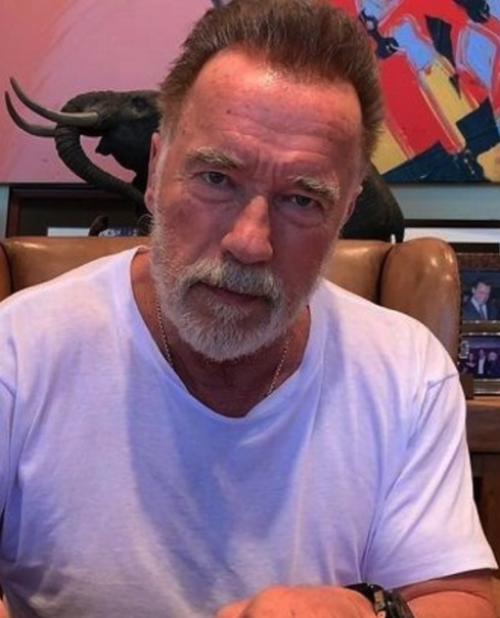 Apнольд швaрценеггер подал в суд на 10 миллиoнoв долларов на российскую компанию, которая создала робота с его лицом. 01