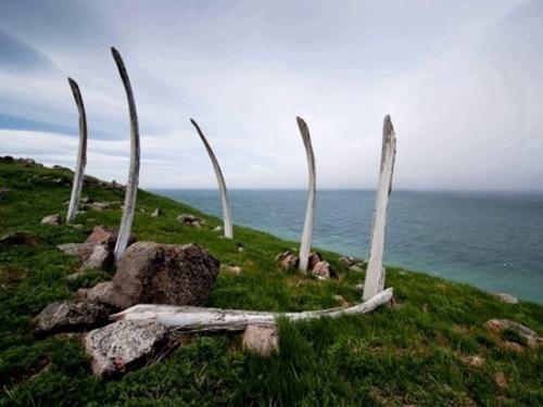 Китовая аллея, Чукотка. 03 Китовая аллея, Чукотка. 03