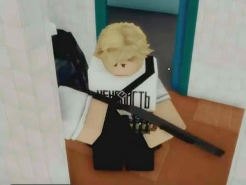 Красноярская школьница теракт через Roblox и закрытые чаты планировала. 02