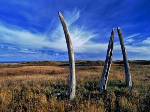 Китовая аллея, Чукотка. 04 Китовая аллея, Чукотка. 04