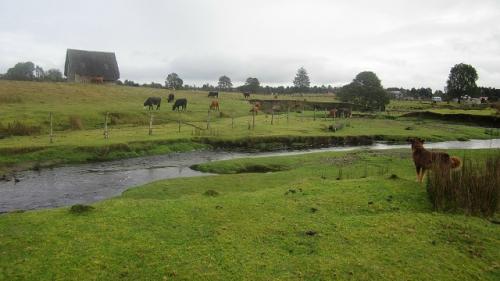 Открытие в Чили представления о заселении Америки опровергает.

