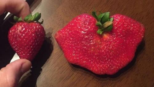 9 случаев, когда люди решили сравнить разные вещи и взорвали нам мозг. 08