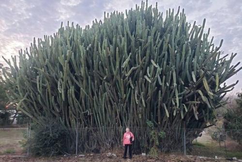 9 случаев, когда люди решили сравнить разные вещи и взорвали нам мозг. 02