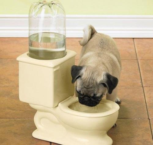 Безумные изобретения человечества. 07