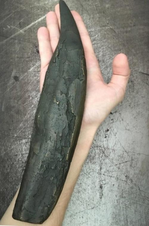 9 случаев, когда люди решили сравнить разные вещи и взорвали нам мозг. 03