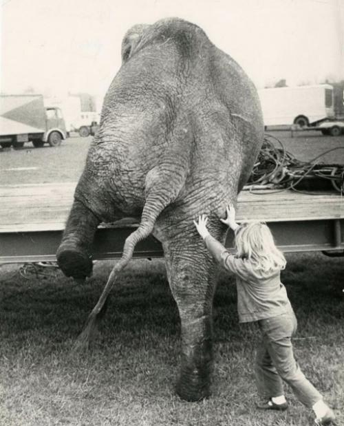 У дрессировщиков тоже бывают дети, и часто они искренне дружат с животными. 03