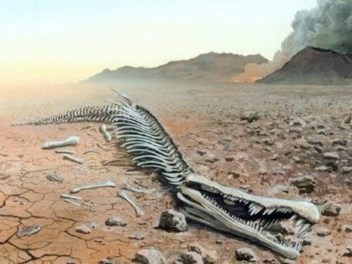 Ученые шестое массовое вымирание в древнем прошлом земли обнаружили. 01