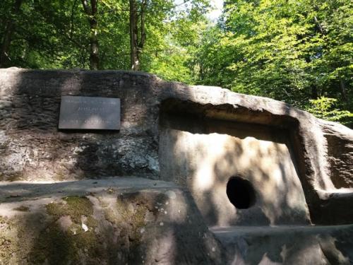 Уникальный памятник мегалитической культуры, расположенный в лазаревском лесничестве сочинского национального парка. 03