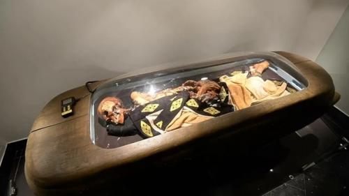 Проклятье алтайской мумии. 04 Проклятье алтайской мумии. 04