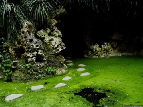 Парк кинта да регалейра. 02 Парк кинта да регалейра. 02