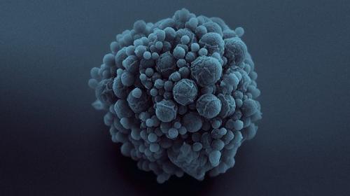 Искусственно созданная форма жизни озадачила ученых. Искусственно созданная форма жизни озадачила ученых.