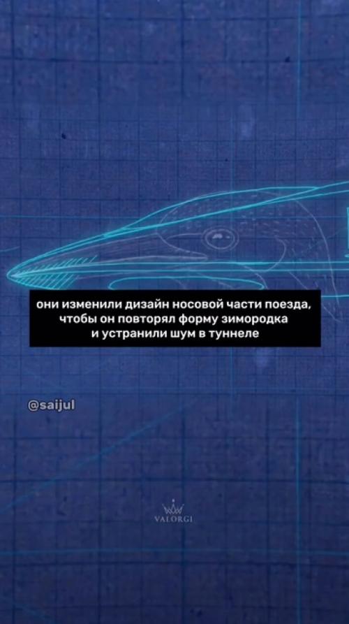Целая отрасль науки - бионика, изучающая природу с целью применения в промышленности. 05