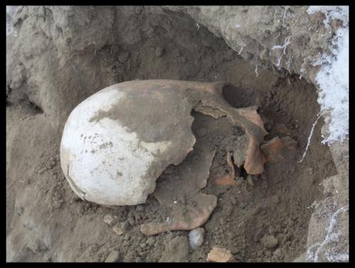 Мексиканские археологи обнаружили интересное захоронение неподалеку от деревни онавас в штате сонора на Западе страны. 07