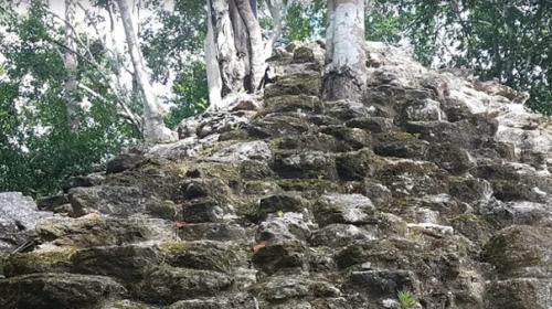 Когда учёные сканировали лазером джунгли около древнего города Майя эль - мирадор, то обнаружили тысячи новых руин и сеть дорог. 04 Когда учёные сканировали лазером джунгли около древнего города Майя эль - мирадор, то обнаружили тысячи новых руин и сеть дорог. 04