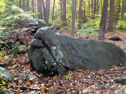Звенячий камень. Этот камень - одна из последних появившихся загадок, на северо-западе России. 01