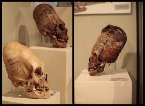 Мексиканские археологи обнаружили интересное захоронение неподалеку от деревни онавас в штате сонора на Западе страны. 03