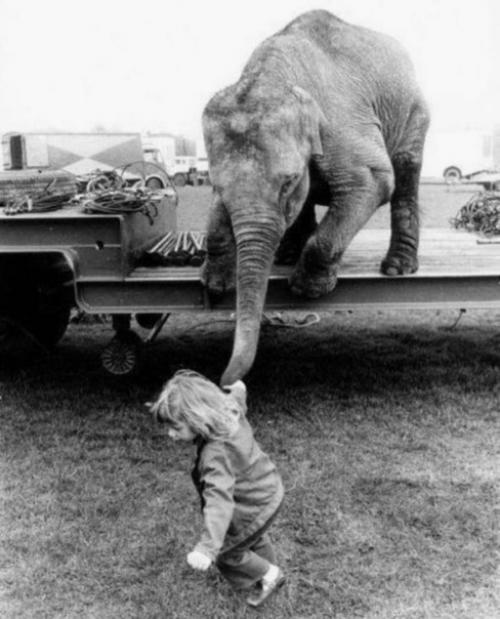 У дрессировщиков тоже бывают дети, и часто они искренне дружат с животными. 04